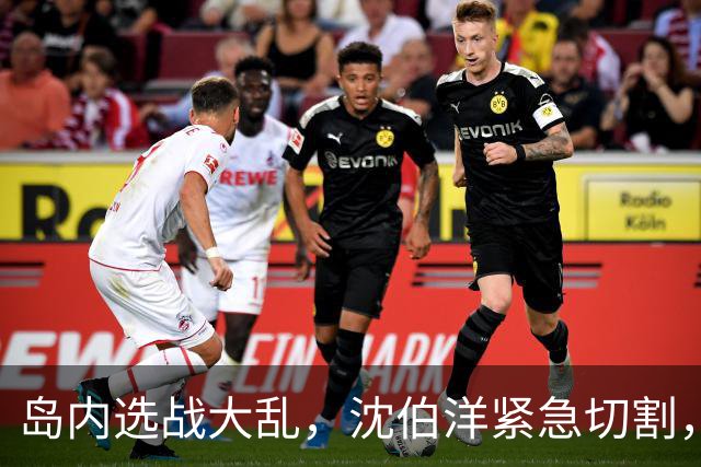 岛内选战大乱，沈伯洋紧急切割，蔡英文出马救场，奇葩政见翻车